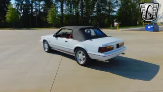 Mustang 6