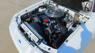 Mustang 21
