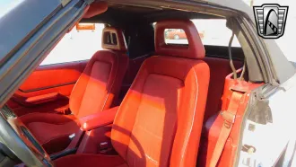 Mustang 24