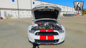Mustang 13