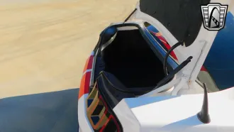 Mustang 19