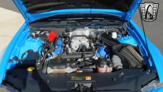 Mustang 19