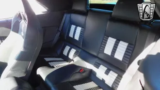 Mustang 25