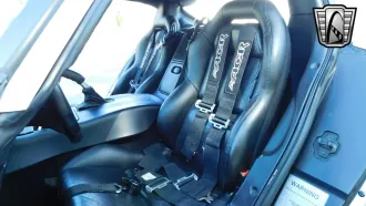 Viper 13