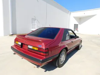 Mustang 10