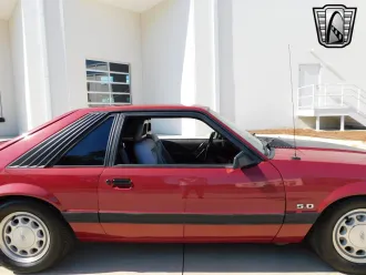 Mustang 12