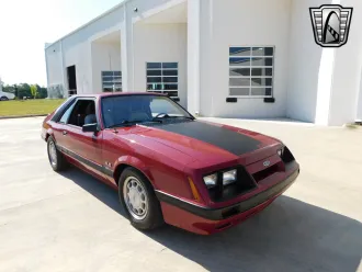 Mustang 14
