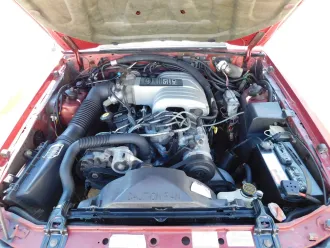 Mustang 17