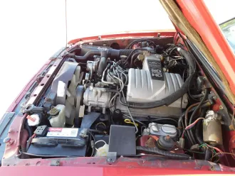 Mustang 18