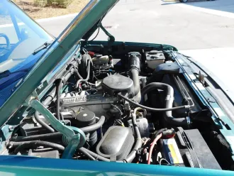 Bronco 17