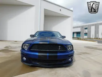 Mustang 3