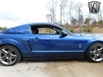 Mustang 11