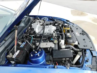 Mustang 15