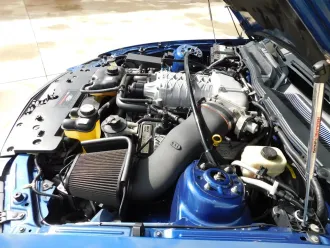 Mustang 16