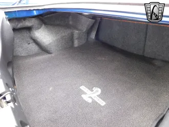 Mustang 17