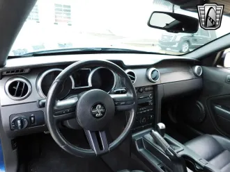Mustang 19