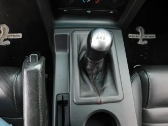 Mustang 21