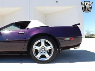 Corvette 7