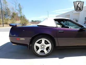 Corvette 11