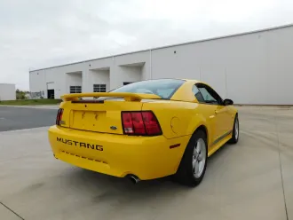 Mustang 10