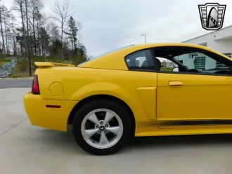 Mustang 11