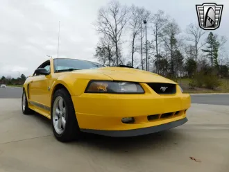 Mustang 14