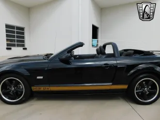 Mustang 6