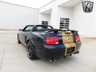 Mustang 8