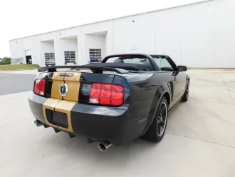 Mustang 10