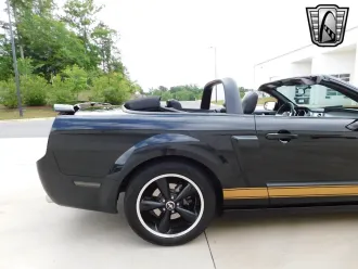 Mustang 11