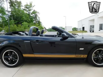 Mustang 12