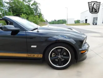 Mustang 13