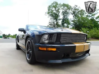 Mustang 14