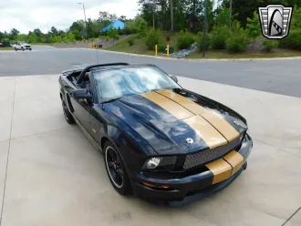 Mustang 15