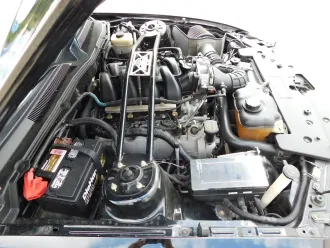 Mustang 18