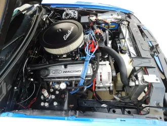 Mustang 17