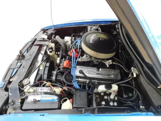 Mustang 18