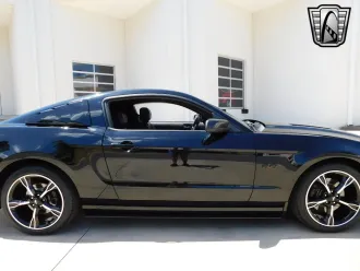 Mustang 12