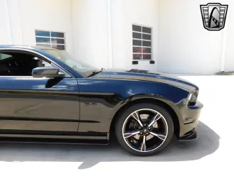 Mustang 13
