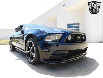 Mustang 14