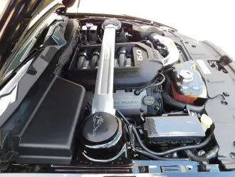 Mustang 17