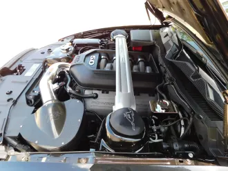Mustang 18