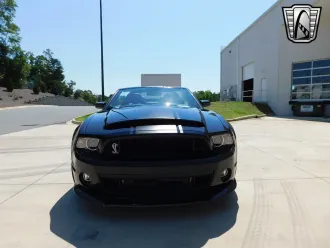 Mustang 3
