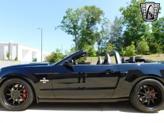 Mustang 6