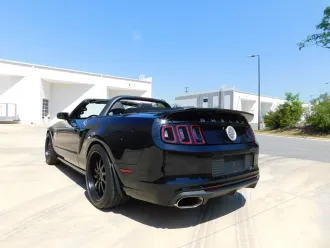 Mustang 8