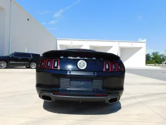 Mustang 9