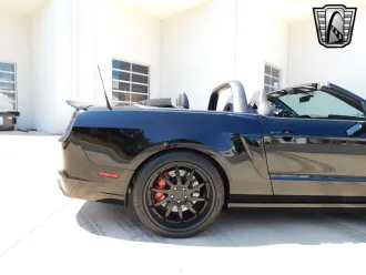 Mustang 11