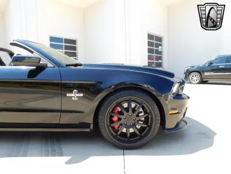 Mustang 13