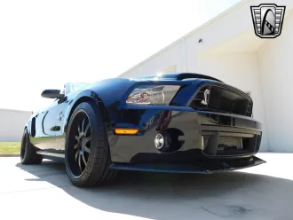 Mustang 14