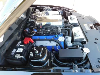 Mustang 17